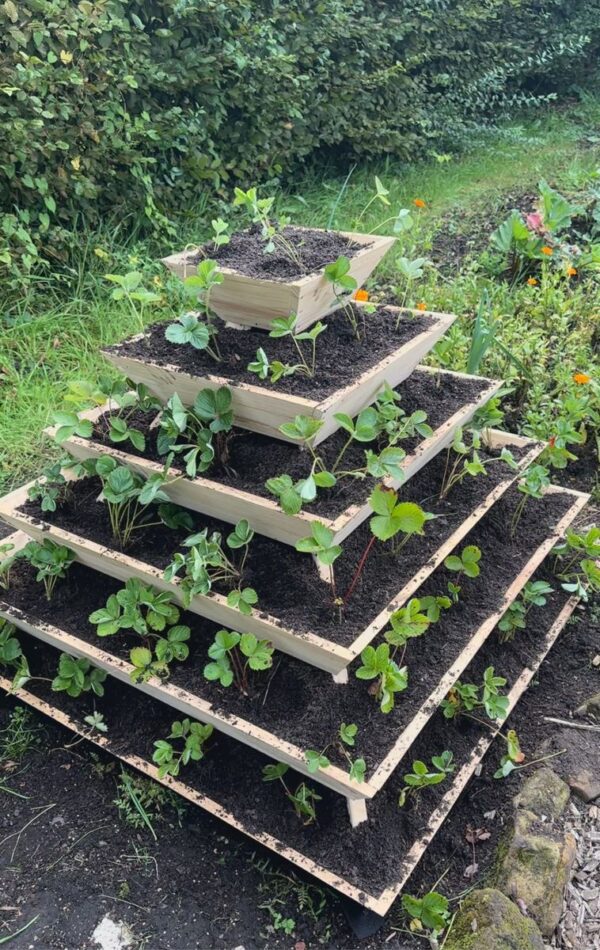 Große Pflanzpyramide aus Holz - ideal als Kräuterpyramide, Erdbeerpyramide oder Blumenpyramide – Bild 2