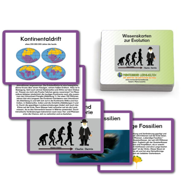 Legematerial zur Erdzeitalterkette – Bild 3