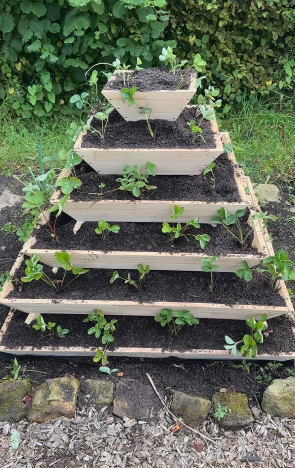 Große Pflanzpyramide aus Holz - ideal als Kräuterpyramide, Erdbeerpyramide oder Blumenpyramide – Bild 6